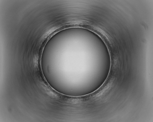 X0000111010778200906191611