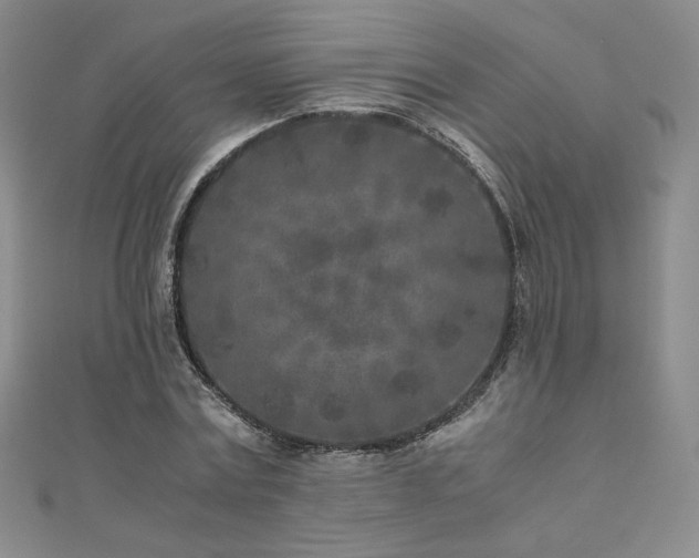 X0000111010779200906191611