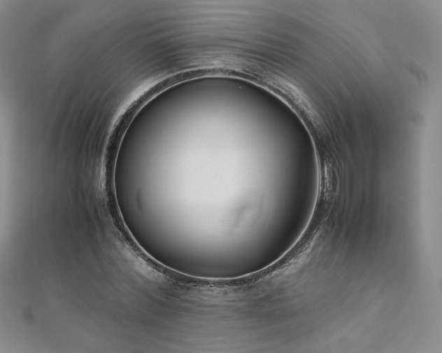 X0000111010780200906191611