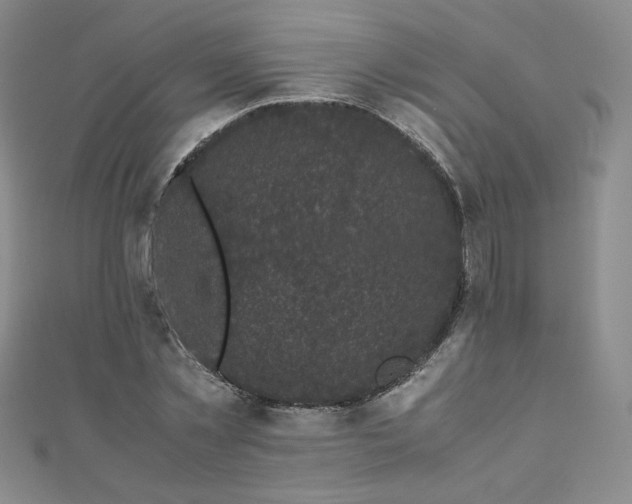 X0000111010781200906191611