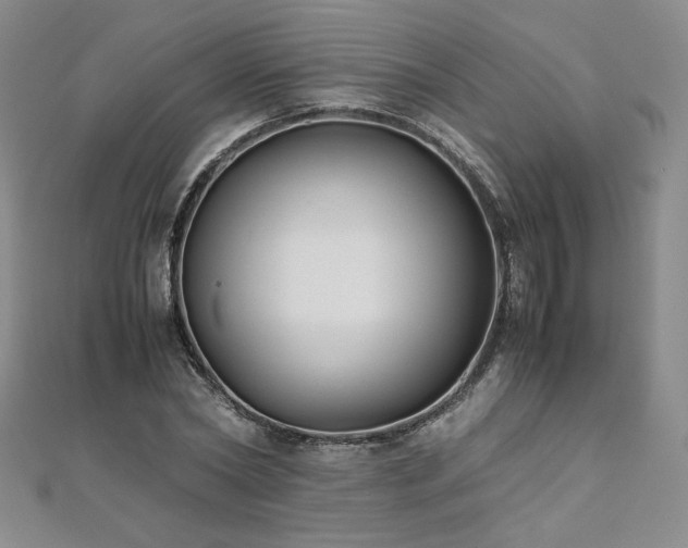 X0000111010782200906191611