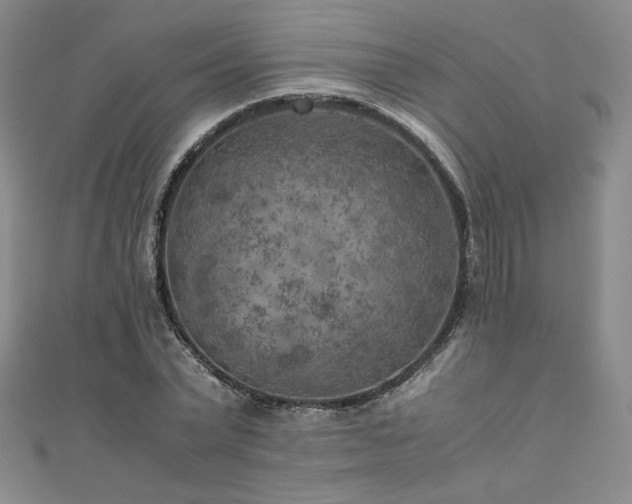 X0000111010783200906191611