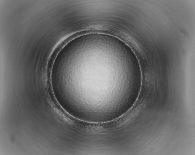 X0000111010784200906191611