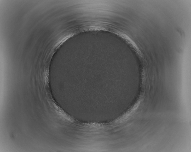 X0000111010785200906191611
