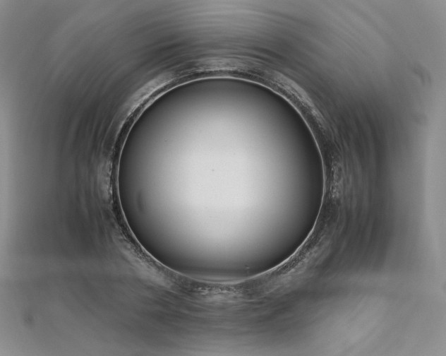 X0000111010786200906191611