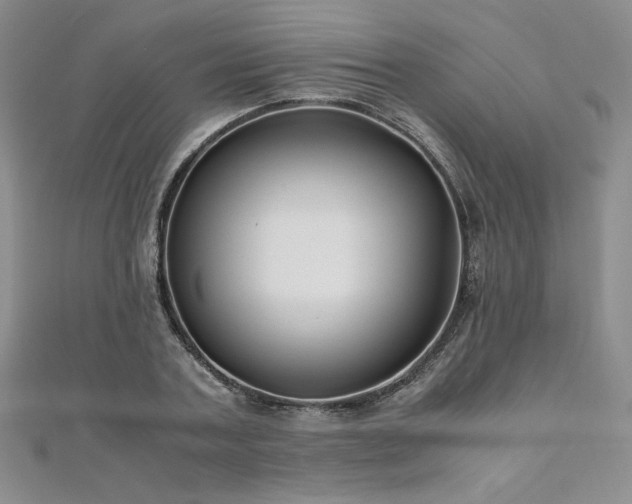 X0000111010787200906191611