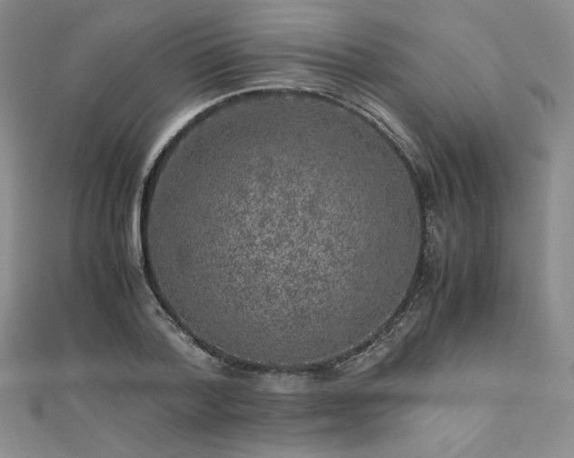 X0000111010788200906191611