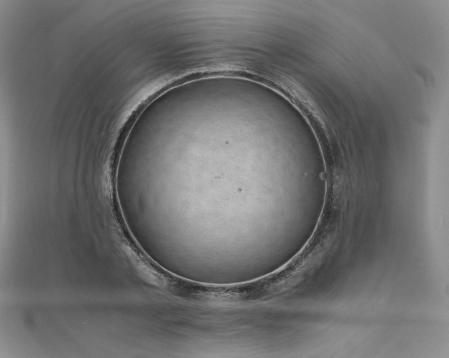 X0000111010789200906191611