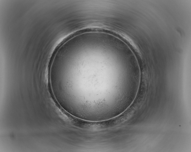 X0000111010791200906191611