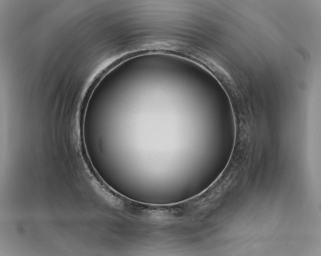 X0000111010792200906191611