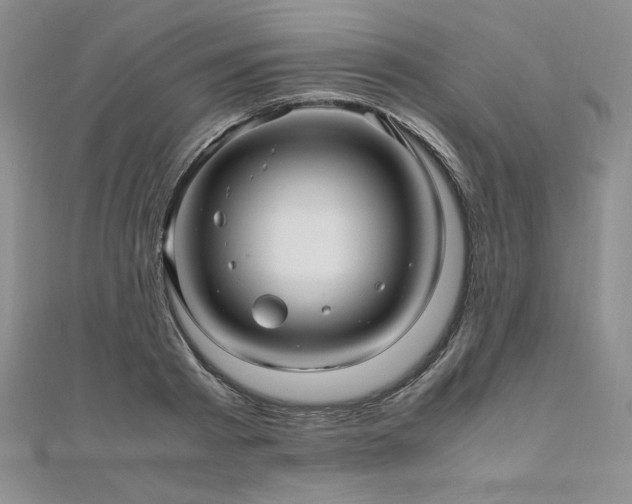 X0000111010793200906191611