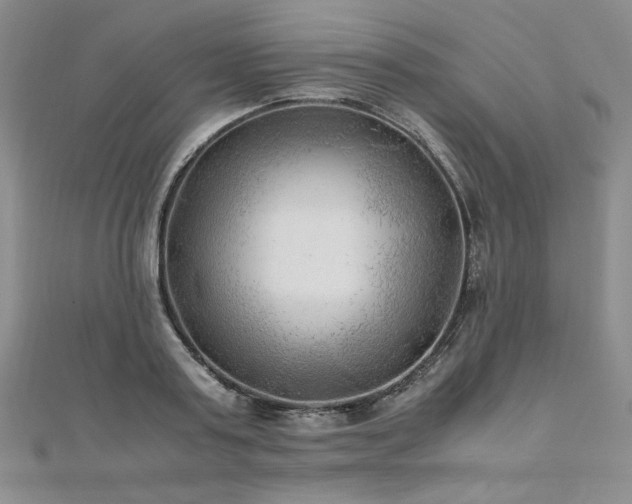 X0000111010795200906191611