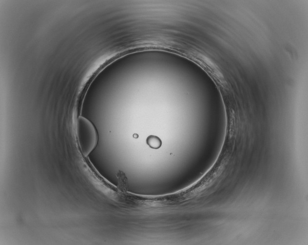 X0000111010796200906191611