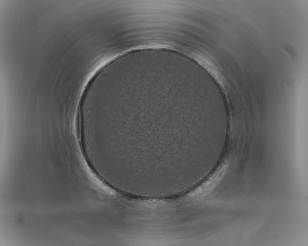 X0000111010797200906191611