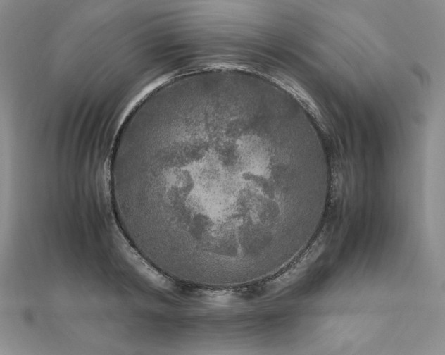 X0000111010798200906191611