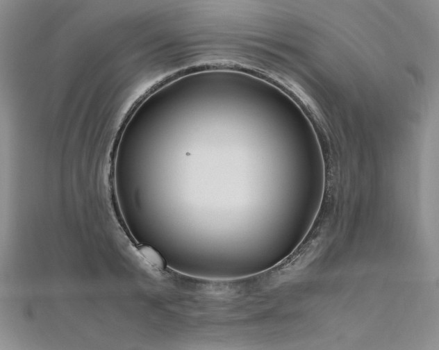 X0000111010799200906191611