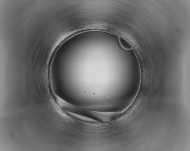 X0000111010800200906191611