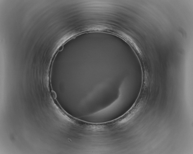 X0000111010802200906191611