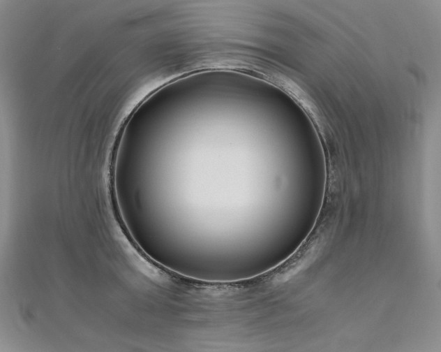 X0000111010803200906191611