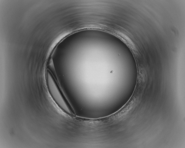 X0000111010804200906191611