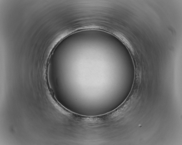 X0000111010805200906191610