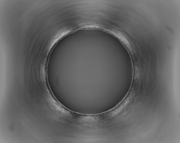 X0000111010806200906191610
