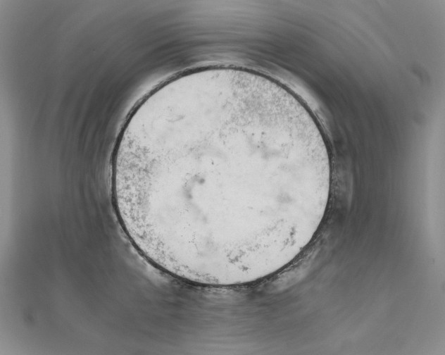 X0000111010807200906191610
