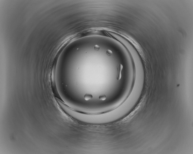 X0000111010809200906191610