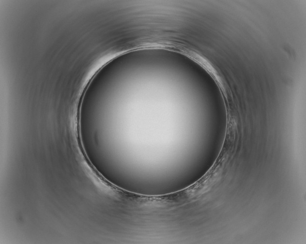 X0000111010811200906191610