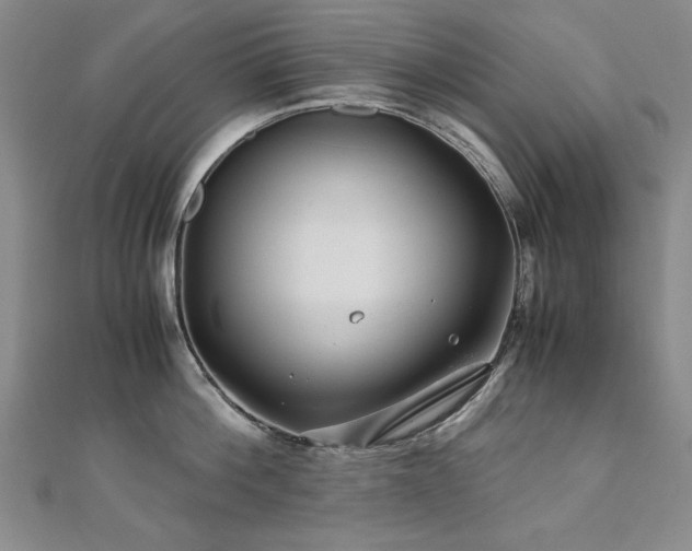X0000111010812200906191610