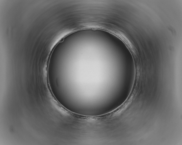 X0000111010814200906191610
