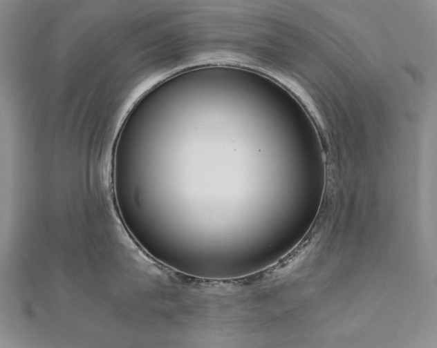 X0000111010815200906191610