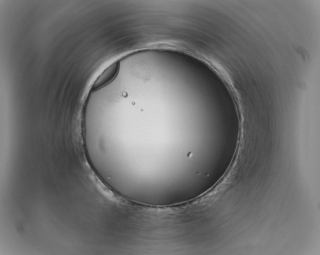 X0000111010816200906191610