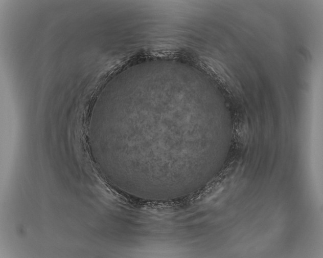 X0000111010817200906191610