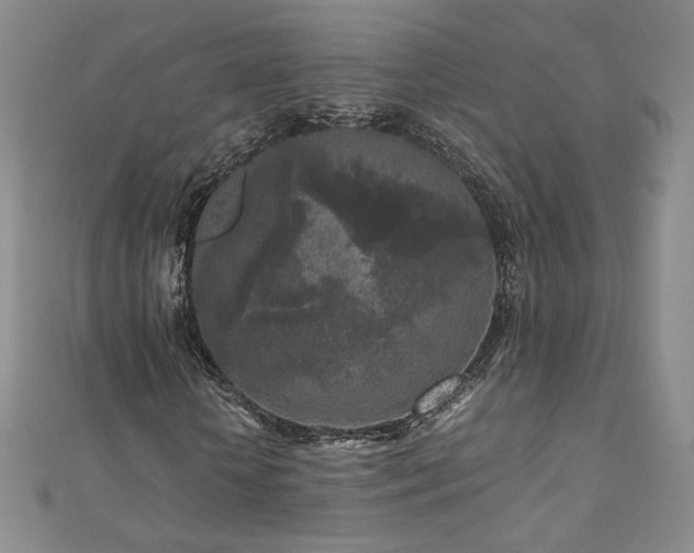 X0000111010818200906191610