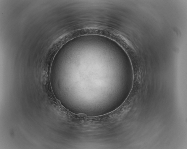 X0000111010821200906191610
