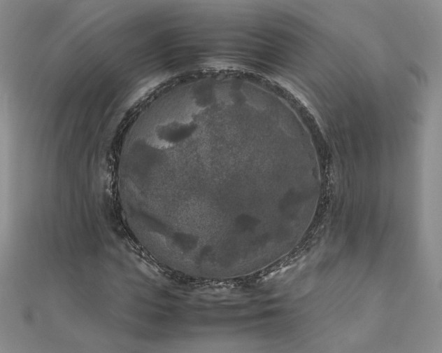 X0000111010823200906191610