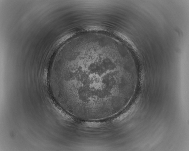 X0000111010825200906191610