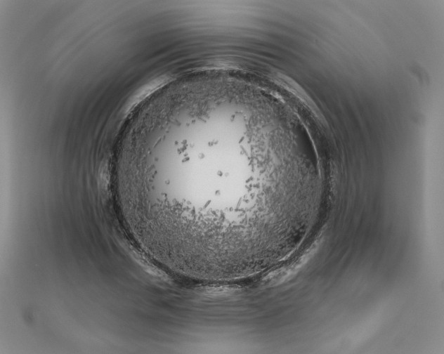 X0000111010826200906191610