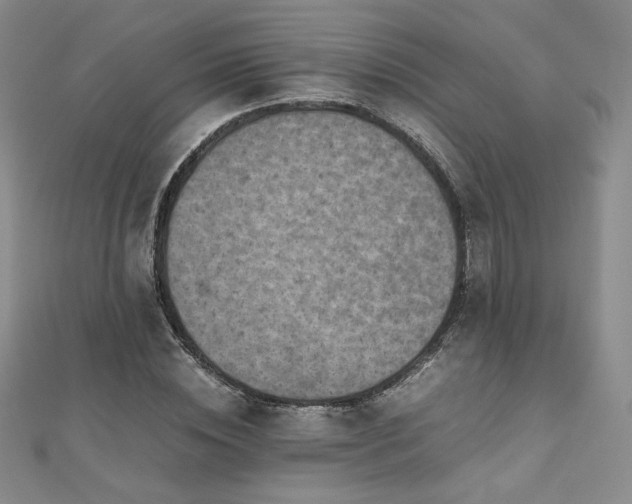 X0000111010828200906191610