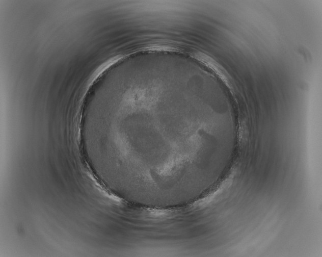 X0000111010829200906191610