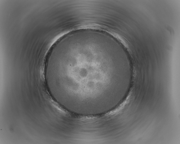 X0000111010830200906191610