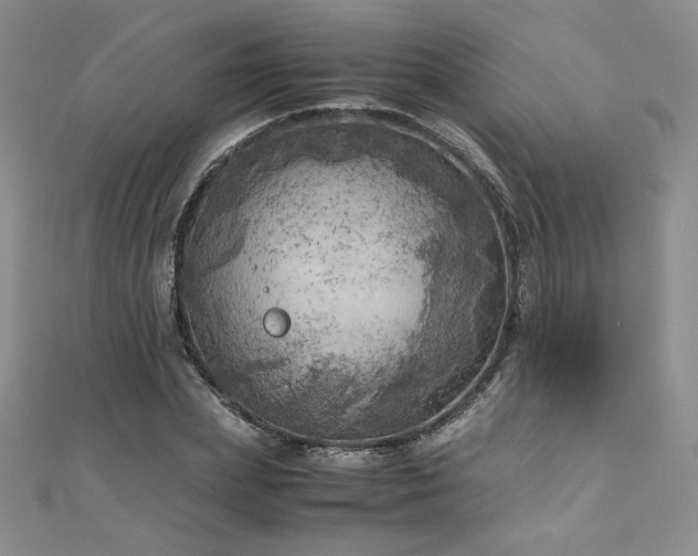 X0000111010831200906191610