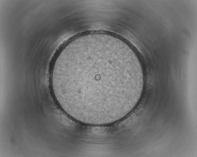 X0000111010832200906191610