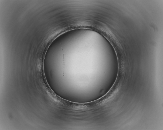 X0000111010833200906191610