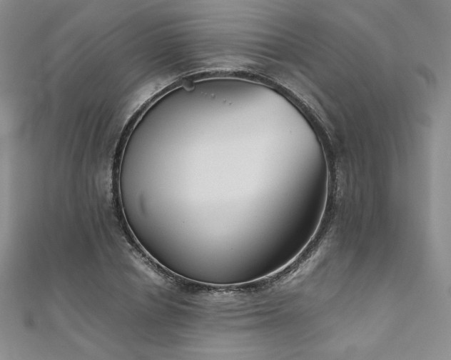 X0000111010834200906191610