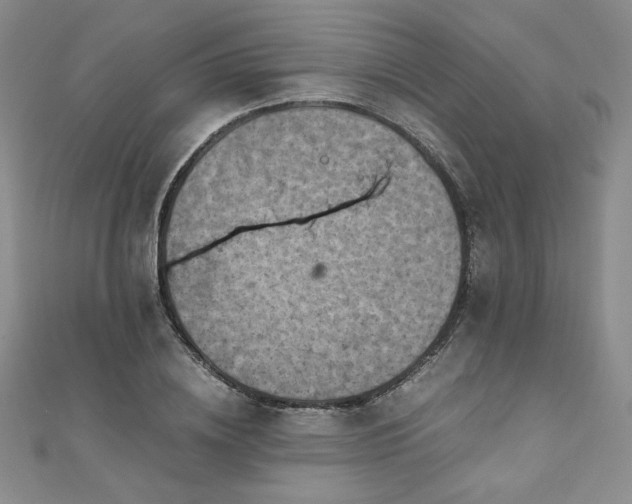 X0000111010836200906191610