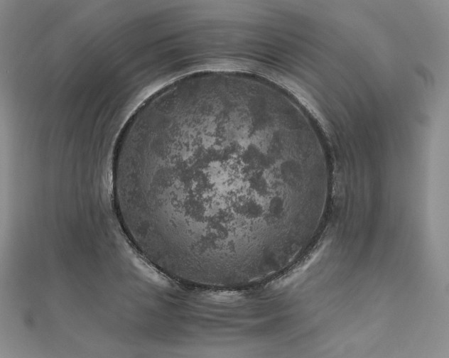 X0000111010837200906191610