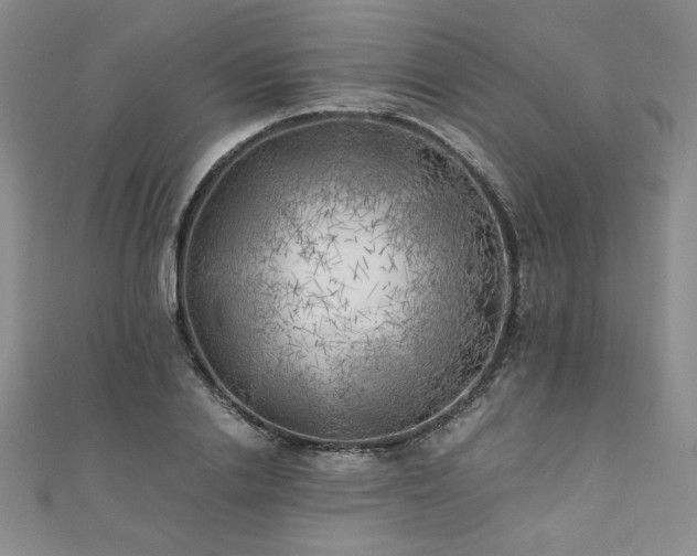 X0000111010838200906191610
