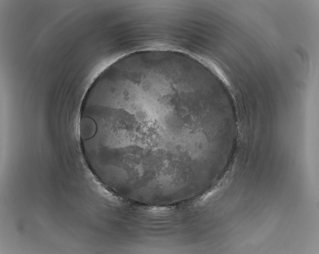 X0000111010839200906191610